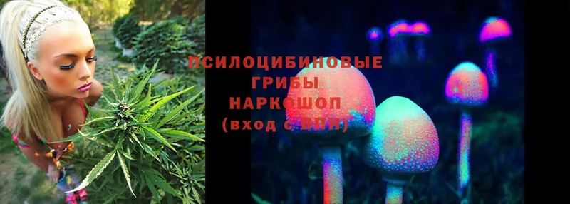 где можно купить   Дмитриев  Псилоцибиновые грибы Magic Shrooms 